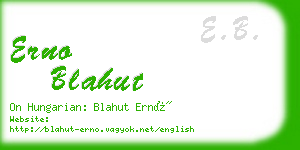 erno blahut business card